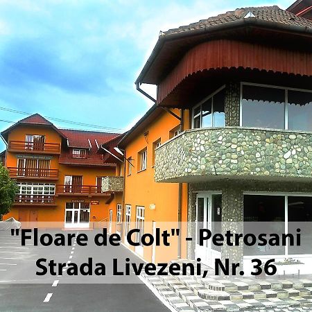 Hotel Floare De Colt Petroşani Exterior foto